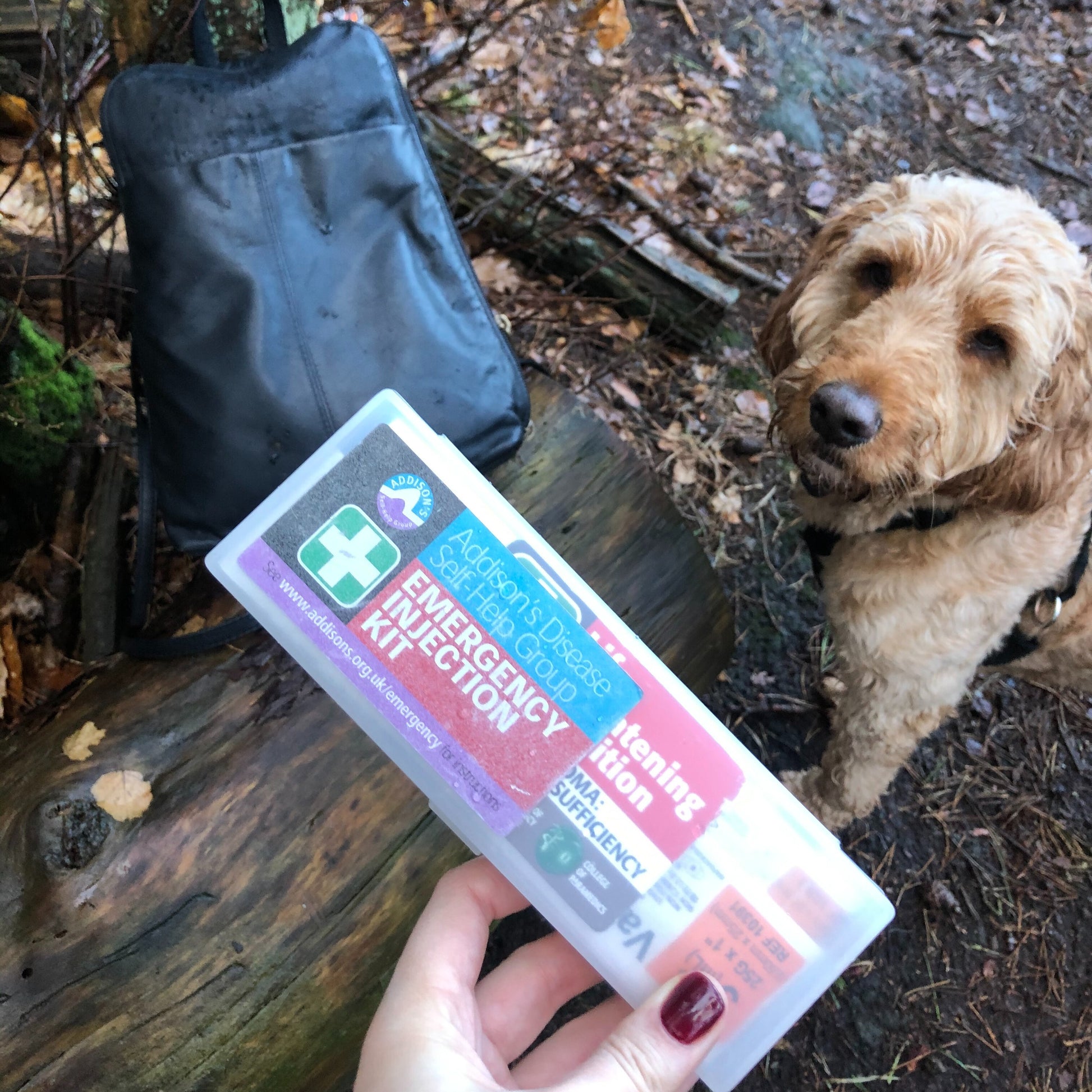 Emergency Injection Kit (Adult, Small) – My Store