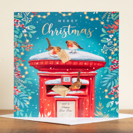 'Postbox Robins' Charity Christmas Cards (Pack of 10)