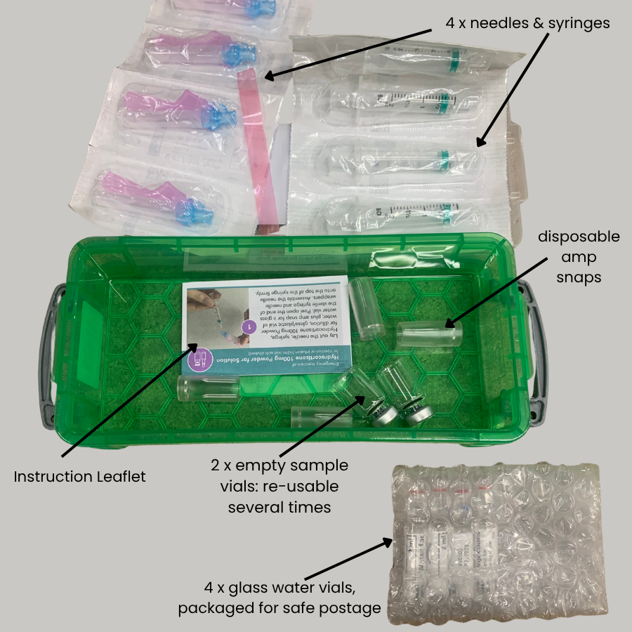 Injection Training Kit