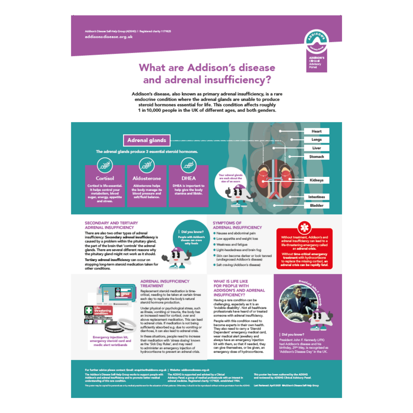 What are Addison's and Adrenal Insufficiency - A3 Poster